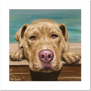 A Painting of a Red Nose Pit Bull Taking a Nap and Sunbath Posters and Art